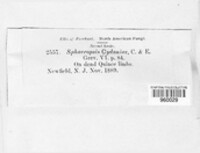 Image Associated With the Occurence